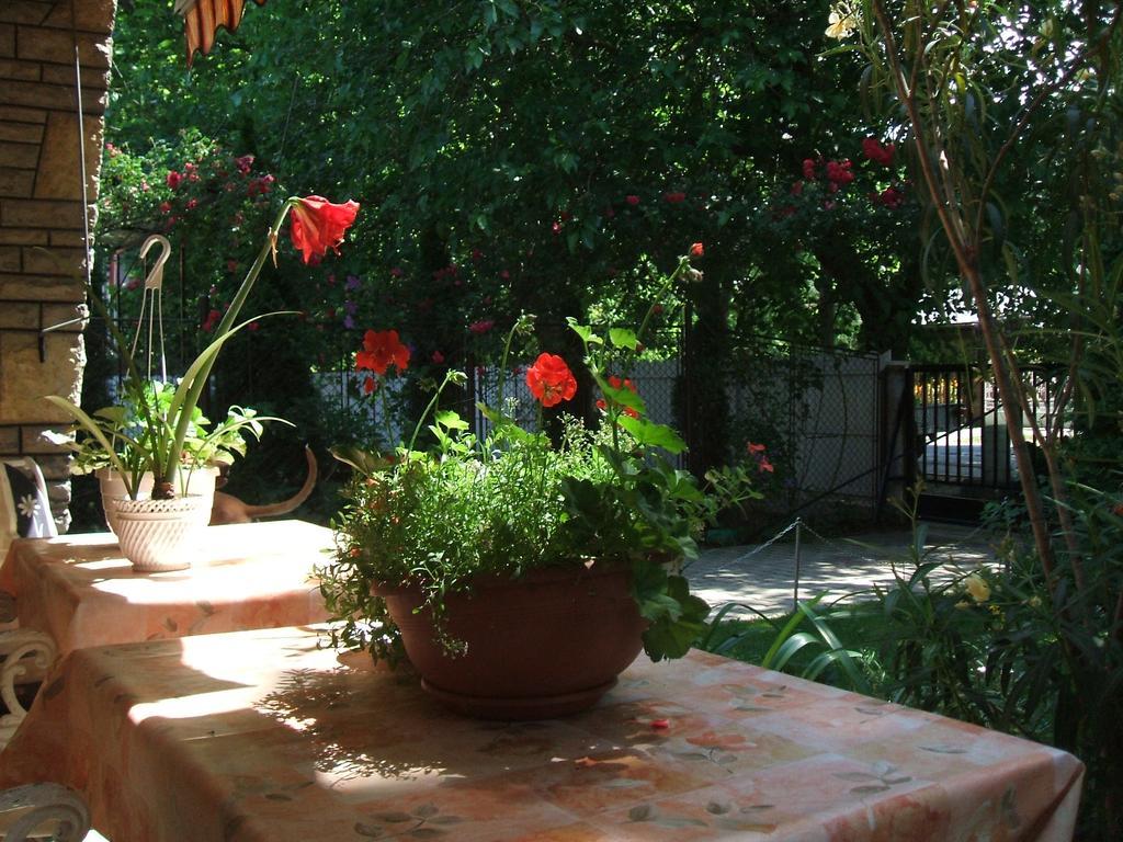 Otis Vendeghaz Apartment Siofok Exterior photo